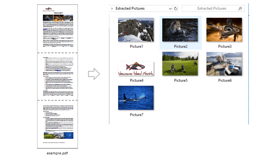 Extract Pictures