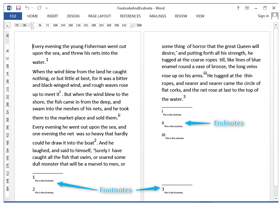 Footnotes and Endnotes