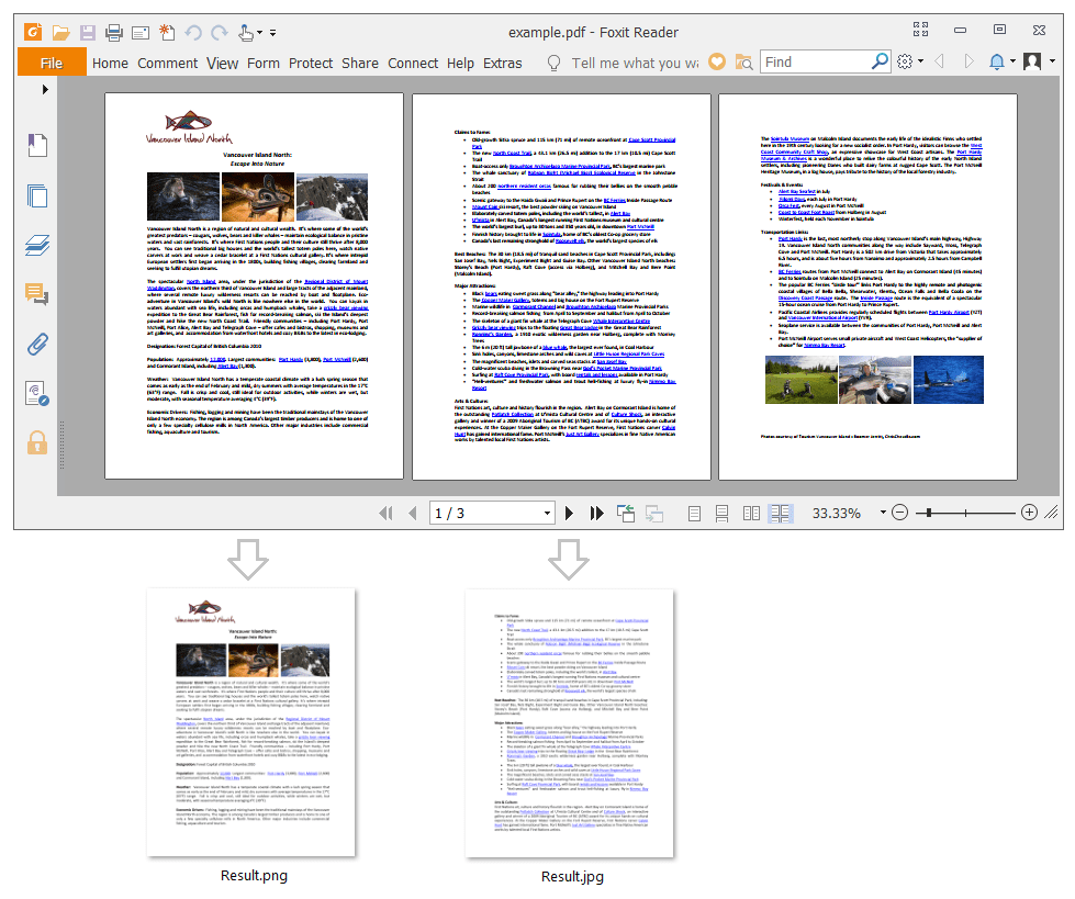 thumbnail pdf