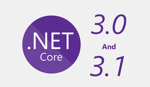 netcore 31