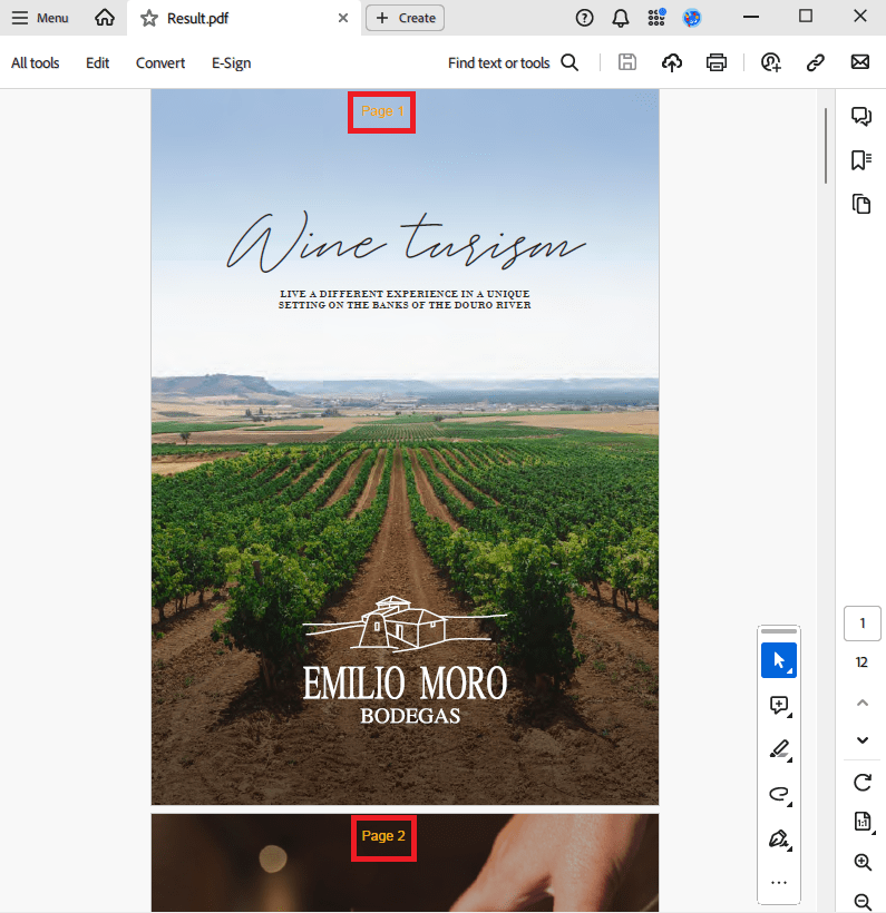 Embedded Fonts