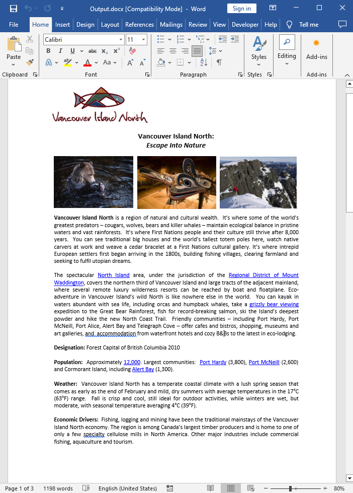Convert pdf to docx