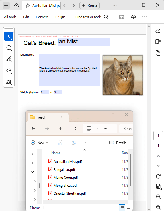 fill pdf form from json output