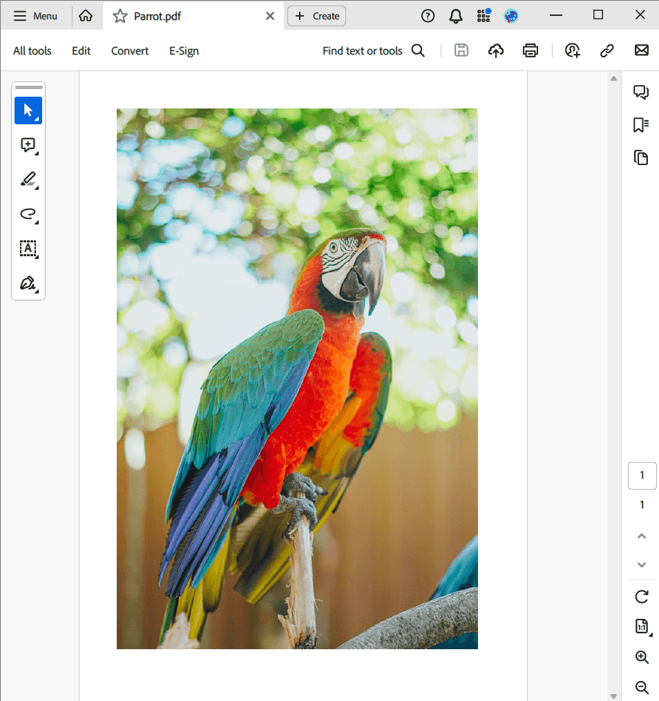 draw images to pdf