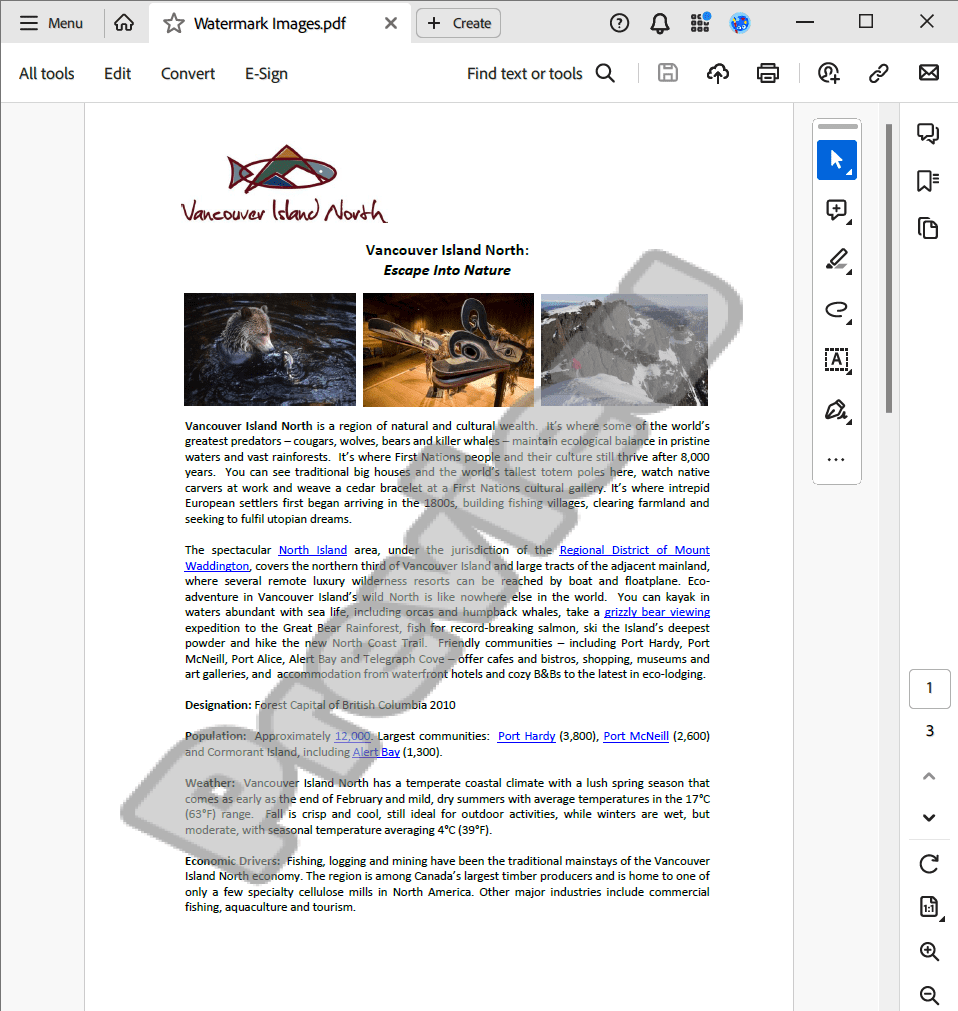 Watermarks output
